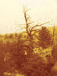 Fall 2007