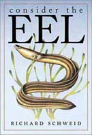Consider the Eel by Richard Schweid
