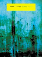 Click here to buy this book from Amazon.com
